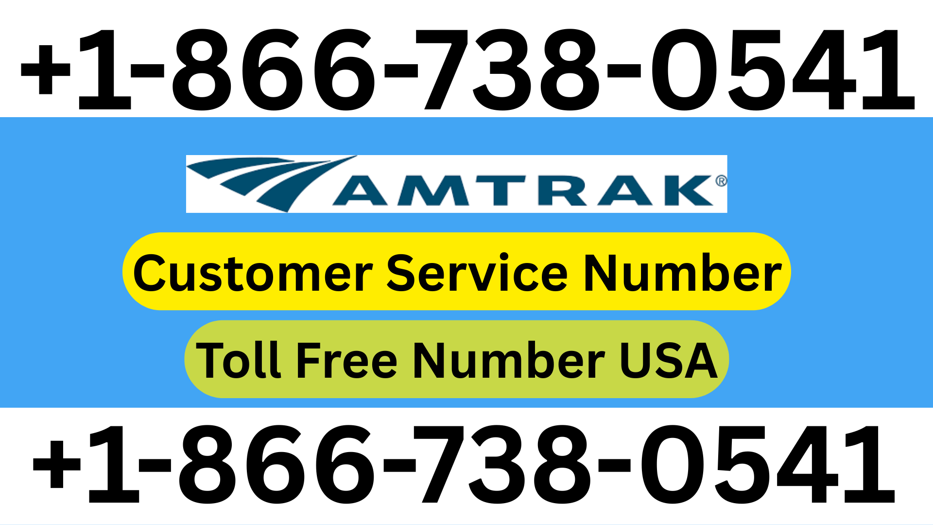 Spirit Airlines Missed Flight Policy No Show Rules Explained — Virginia Zoo